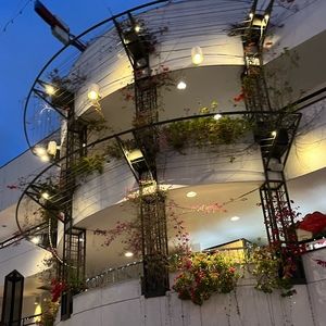 Meet your Posher, Aubrey